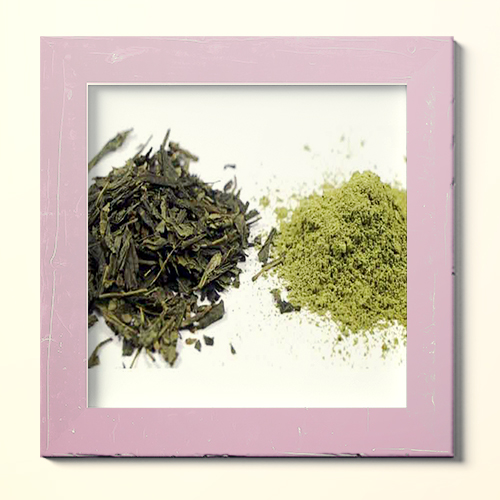 تفاوت چای سبز و چای ماچا، از نحوه رشد تا روش مصرف!