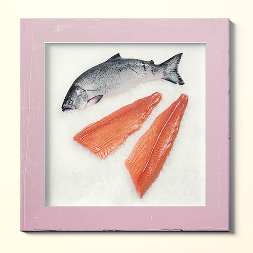 خواص ماهی سالمون؛ ماهی محبوب و خوش طعم