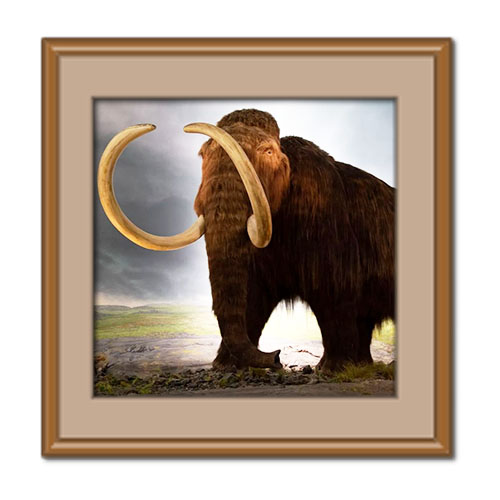 تاریخ جهان و موجودات غول پیکر