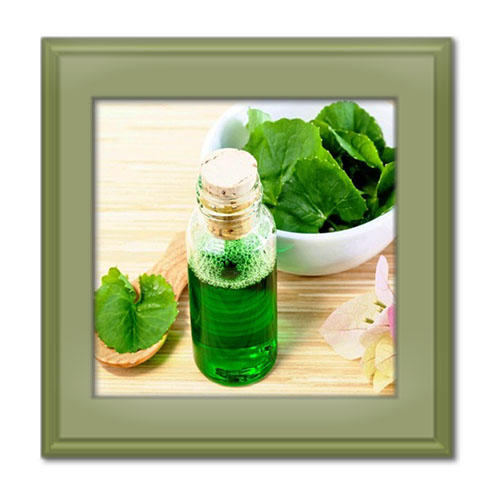 خواص روغن براهمی؛ عوارض، نحوه مصرف و موارد منع مصرف