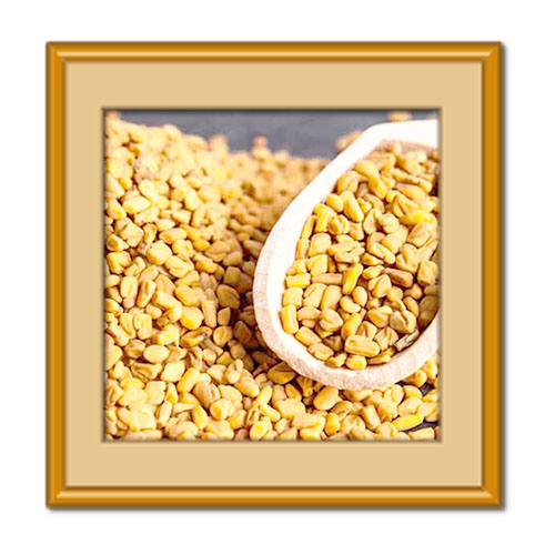 خواص عرق شنبلیله؛ از کاهش قندخون تا درمان ریزش مو