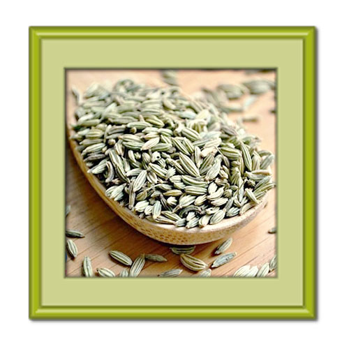 معرفی خواص رازیانه به همراه عوارض جانبی