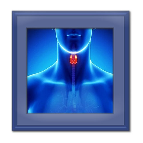 ندول تیروئید چیست؟