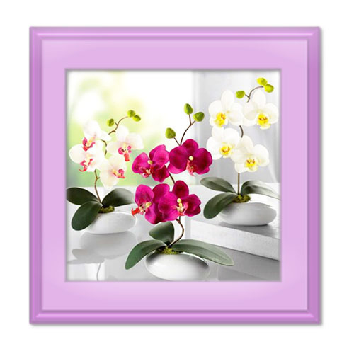 انشا در مورد یکی از آفریده های ساکت خدا ؛ گل های زیبا و آرام