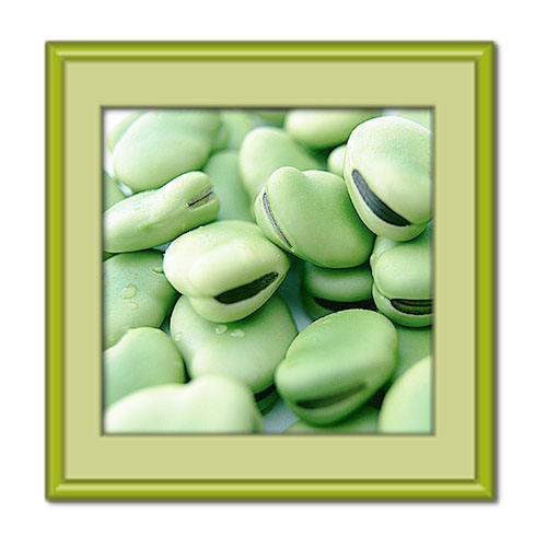 درباره خواص باقالی و مضرات آن بیشتر بدانید