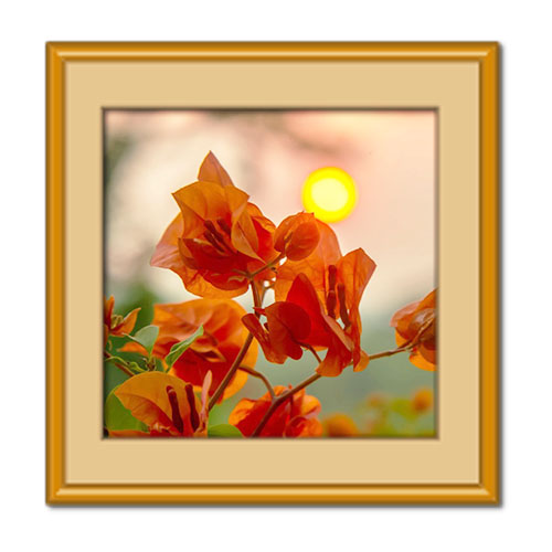 منظور از آفریده های ساکت خدا چیست؟