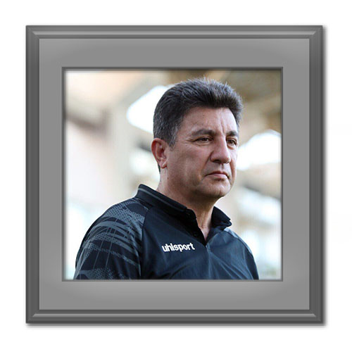 بیوگرافی امیر قلعه نویی