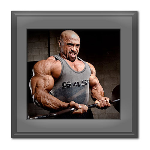 بیوگرافی دنیس جیمز، بدنساز معروف جهان