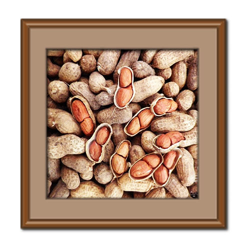 خواص بادام زمینی