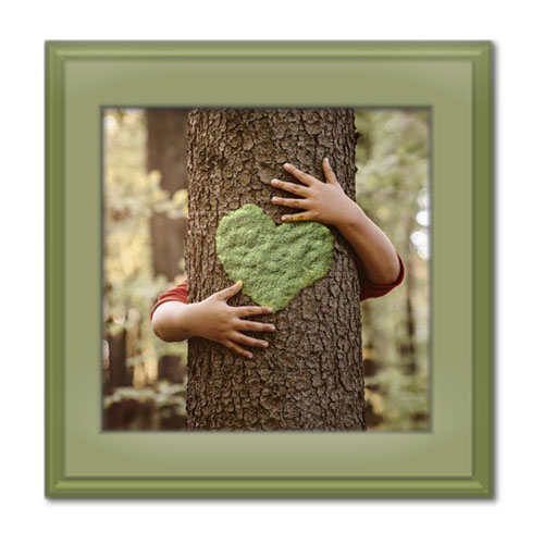 ۲ نمونه انشا مقایسه انسان و درخت خلاقانه و ادبی