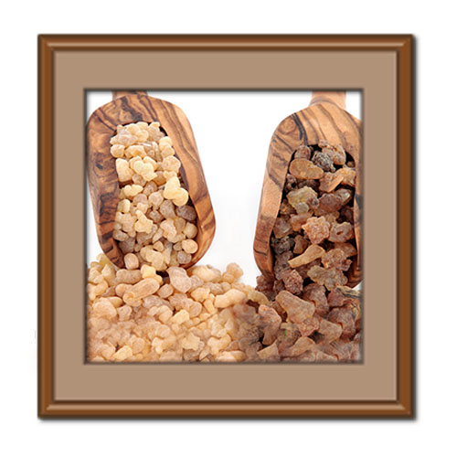 بررسی تفاوت سقز با کندر + جدول مقایسه‌ای