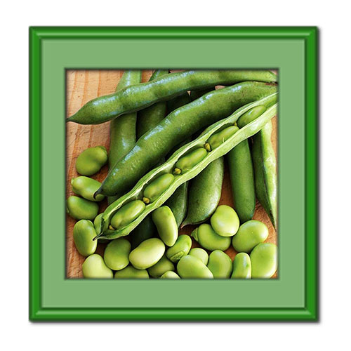 طبع باقالی چیست؟