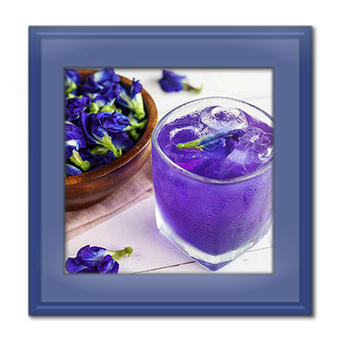 طرز تهیه شربت گل ختمی و خواص آن برای سلامتی