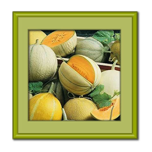 فرق طالبی و گرمک چیست و هر کدام چه خواصی دارند؟